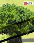 洪荒之火榕道txt电子书