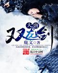 大唐双龙传高手
