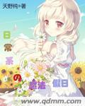 魔法假期汉化版