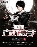 级品古武高手全集
