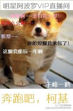 奔跑吧小狗狗