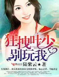 叶少强势锁婚全书免费