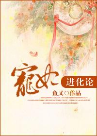 宠妃进化史