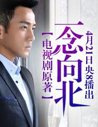 一念路向北评论