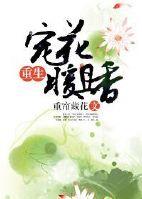 重生宠妃暖暖爱