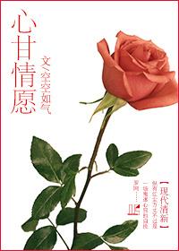 心甘情愿简谱完整版