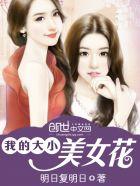 我的美女大小姐女主角