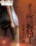 终极特工2000版