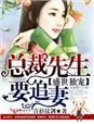 盛世宠婚总裁的头号佳妻免费阅读全文