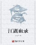 江湖血泪录简介