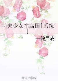 功夫少女2.4