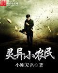奇遇小农民txt