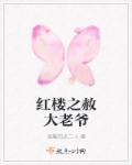 红楼梦之赦大老爷