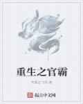 重生之官道免费全文
