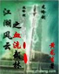 电视剧江湖风云20年