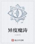 异度 dlc