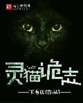 灵猫策划