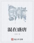 混在大唐做驸马最新章节