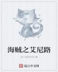 海贼王之艾尼路