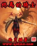 终焉的骑士未删
