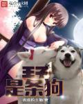 王子小狗