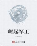 崛起军工TXT全本