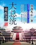 重生之大总统赵构