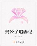 贵公子快穿