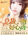 天价暖婚总裁甜妻枕边吻