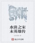 穿越宋末之水浒