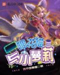 狸花猫和狸猫