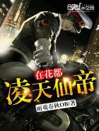 凌天帝君免费阅读