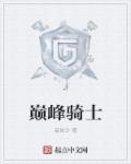 巅峰骑士团法师技能书