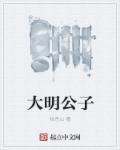 大明公子 皮影戏