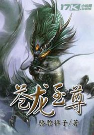 苍龙战神免费阅读