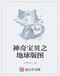 神奇宝贝世界地图高清版