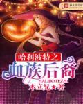 哈利波特之纯血世家