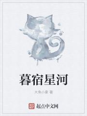 暮宿星河法宝