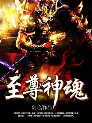 至尊神魂全集