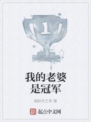 我的老婆是辉