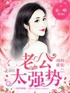 顶级老公宠妻上瘾免费阅读