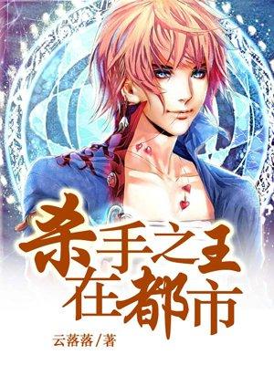 杀手之王都市