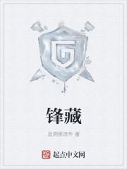 锋藏啤酒属于什么档次