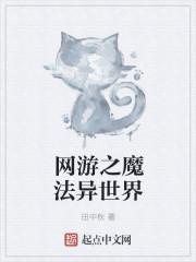 网游之魔法少女
