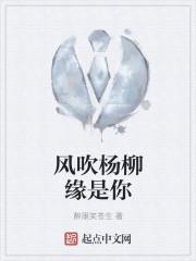 风吹杨柳千枝摇求下联