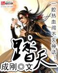 踏天境境界划分