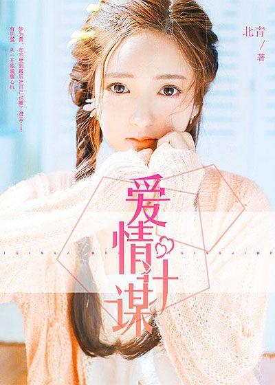 爱情计谋泰剧百度资源