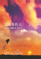 追风筝的人在线阅读免费