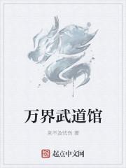 万界之武道圣人