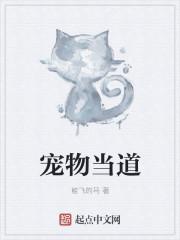 宠物之道土豆视频